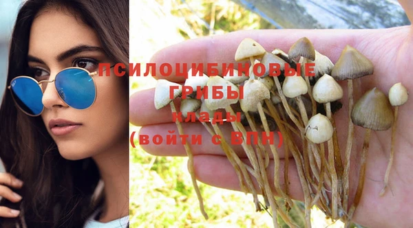 spice Волосово